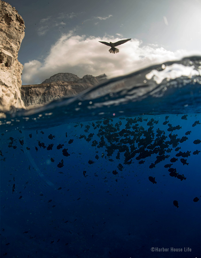 Land_and_Sea_700x900