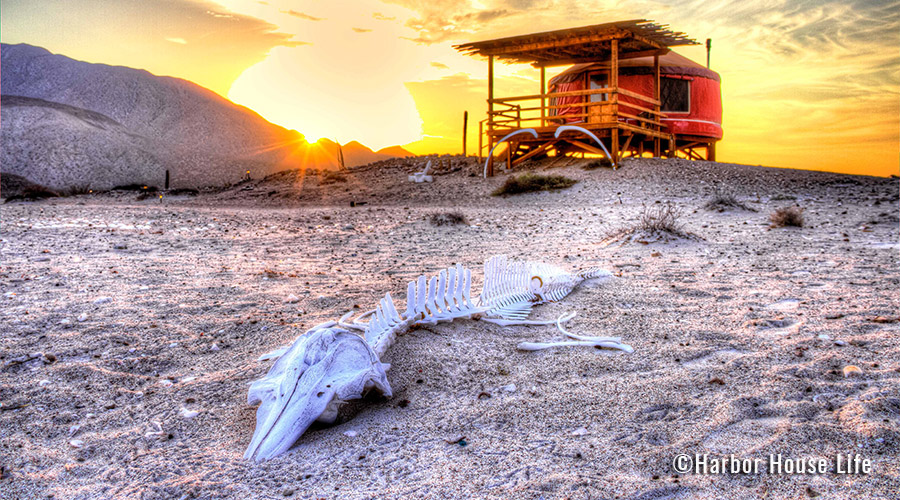 HHL-Baja-146_900x500