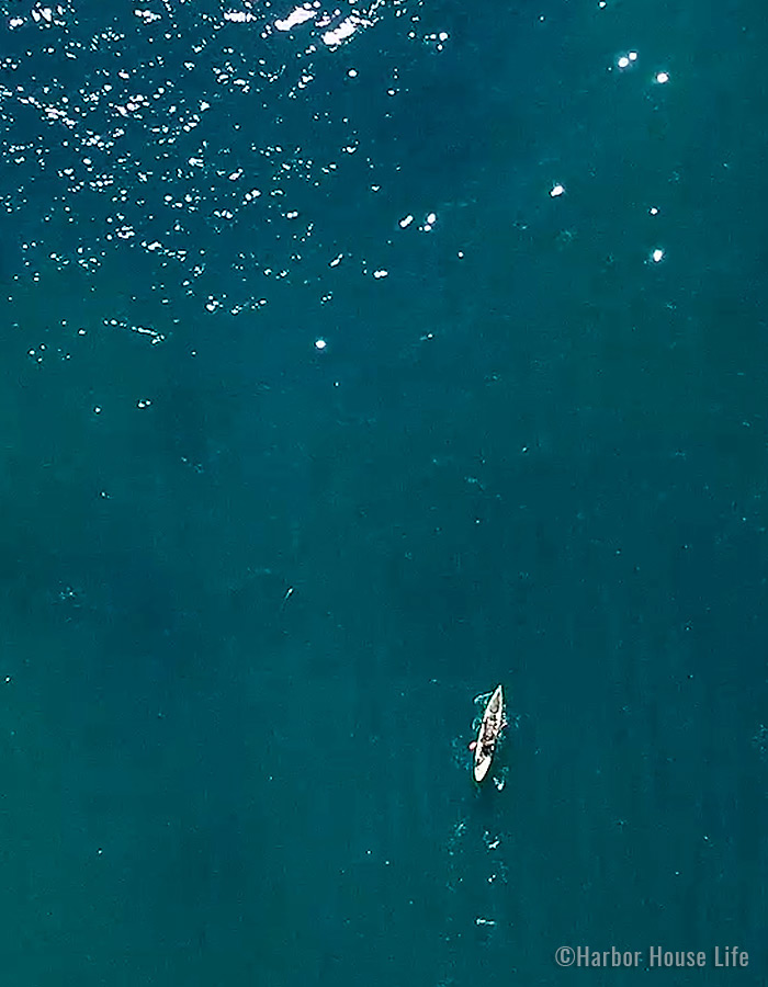 ocean_overview_700x900-2